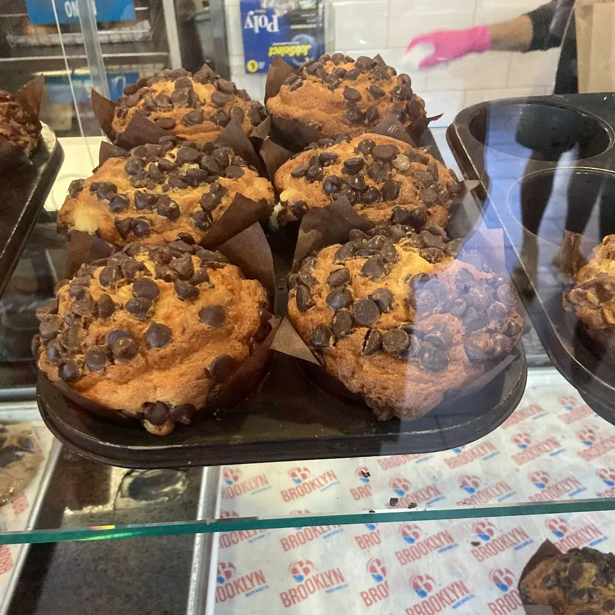 Chocolate Chip Muffin