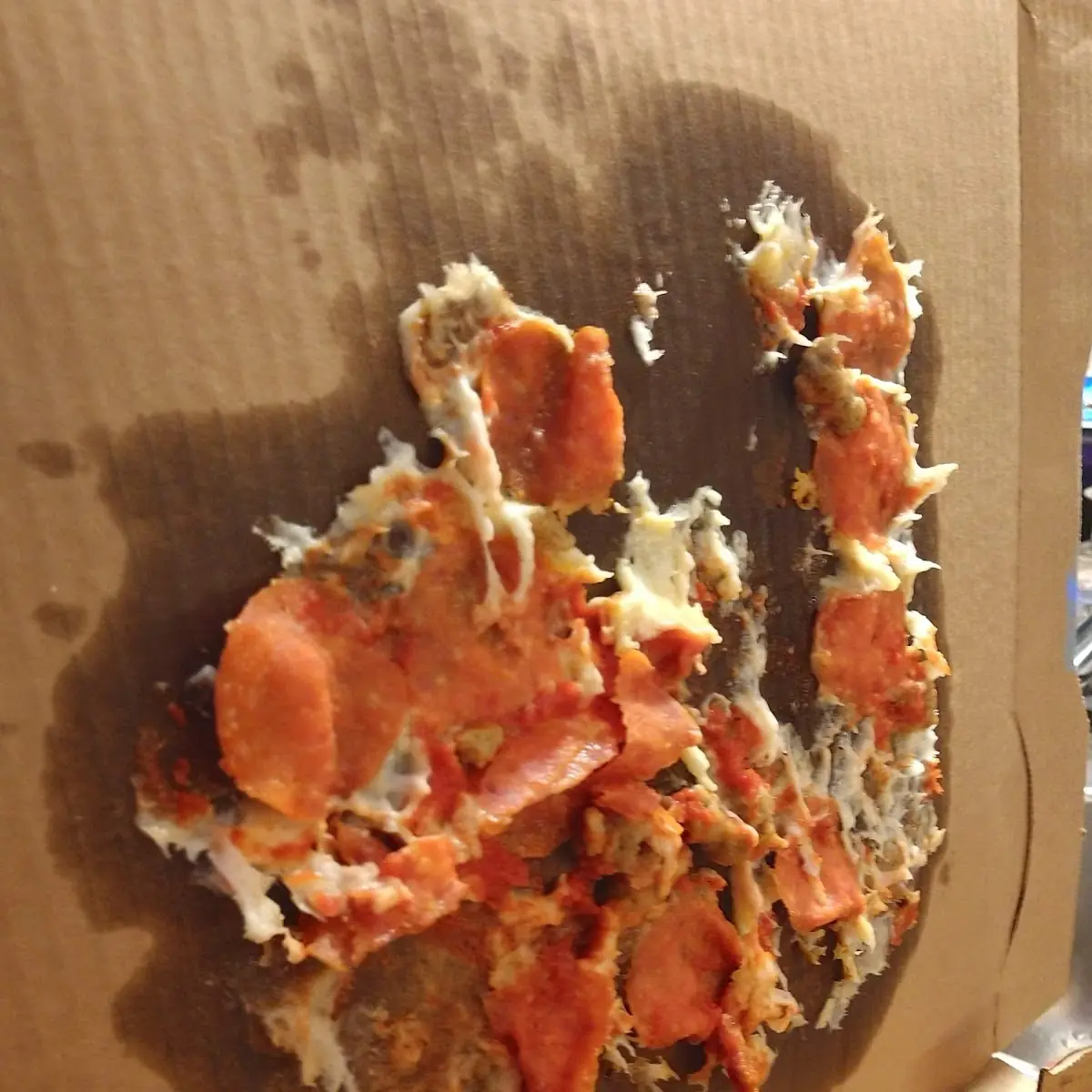 Meat Pizza