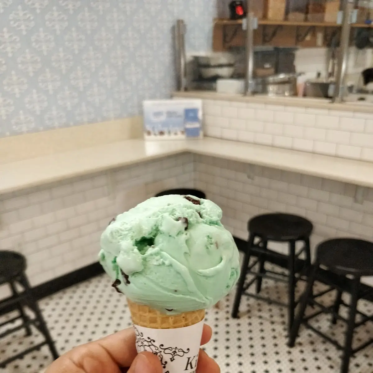 Mint Chocolate Chip