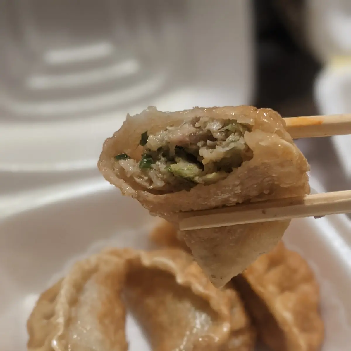 Mandoo Dumplings