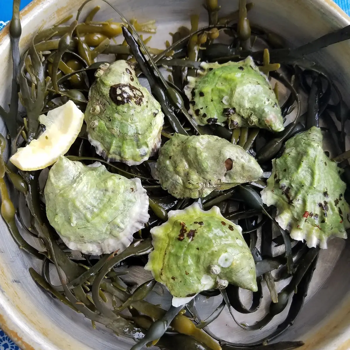 Oysters on the Half Shell