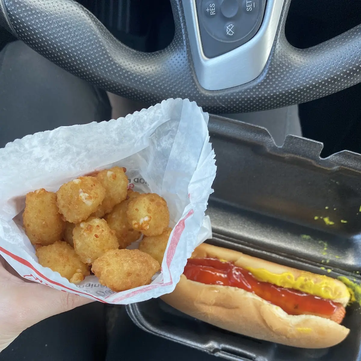 Hot Dog and Cheese Curds