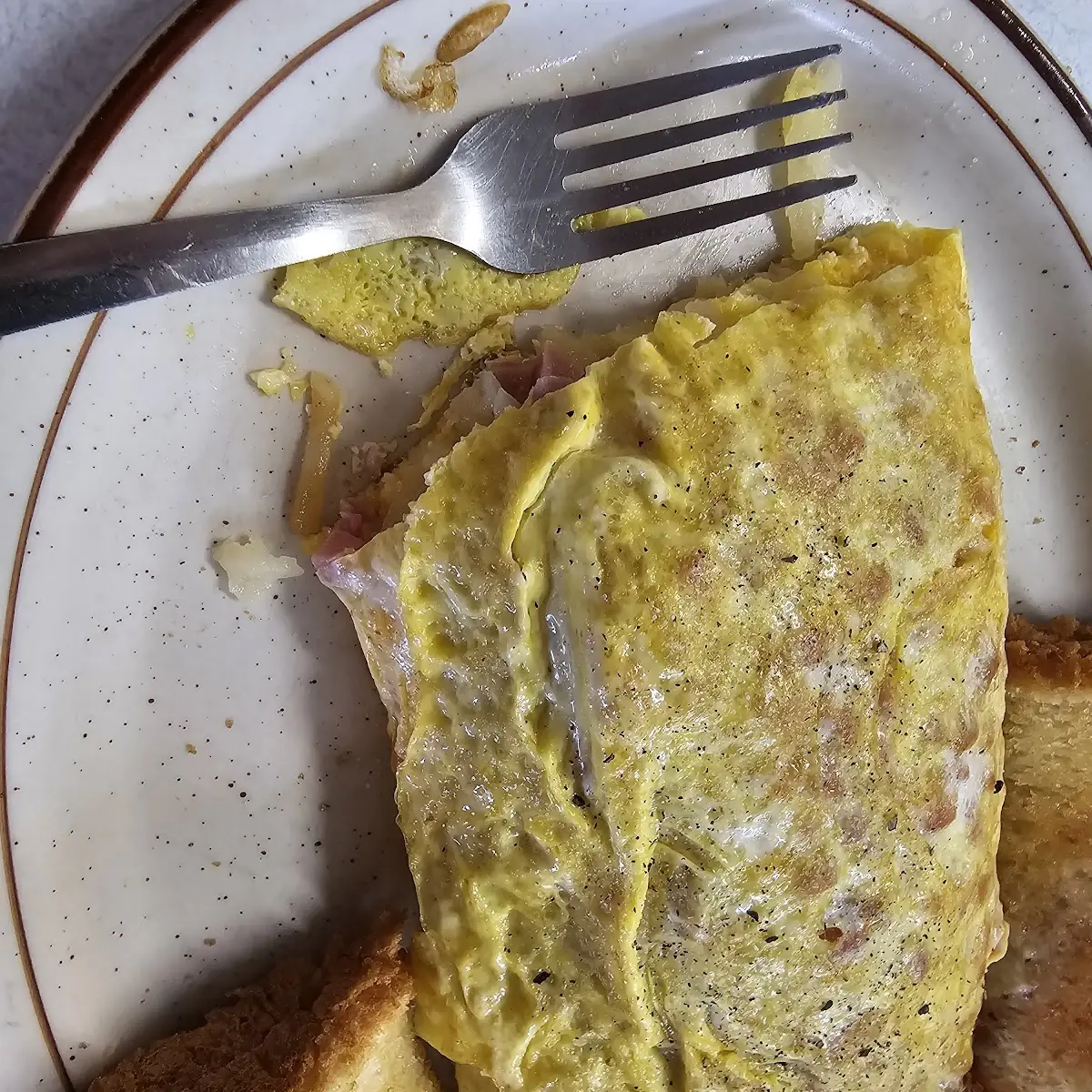 Ham and Cheese Deluxe Omelet