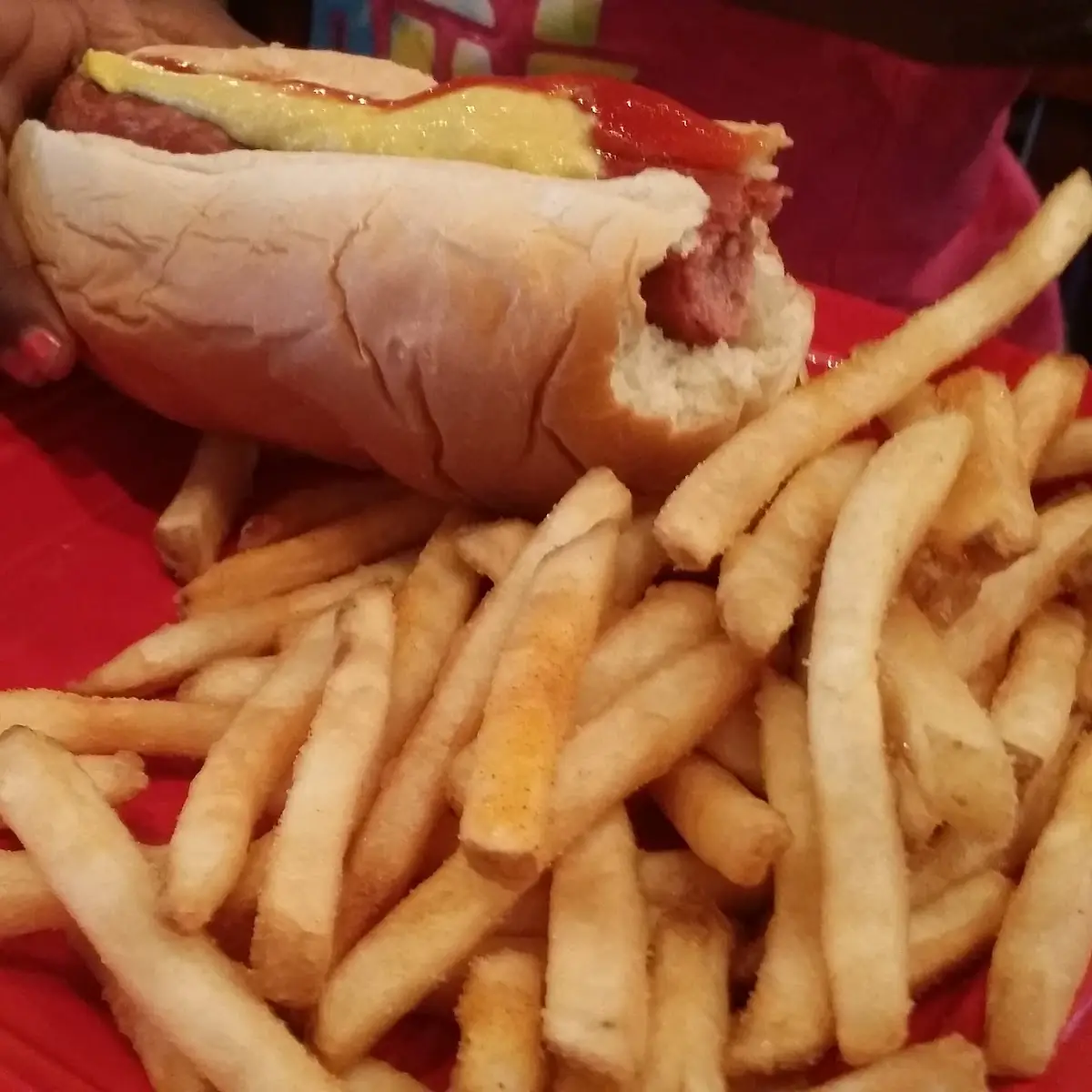 Kids Hot Dog and Fries