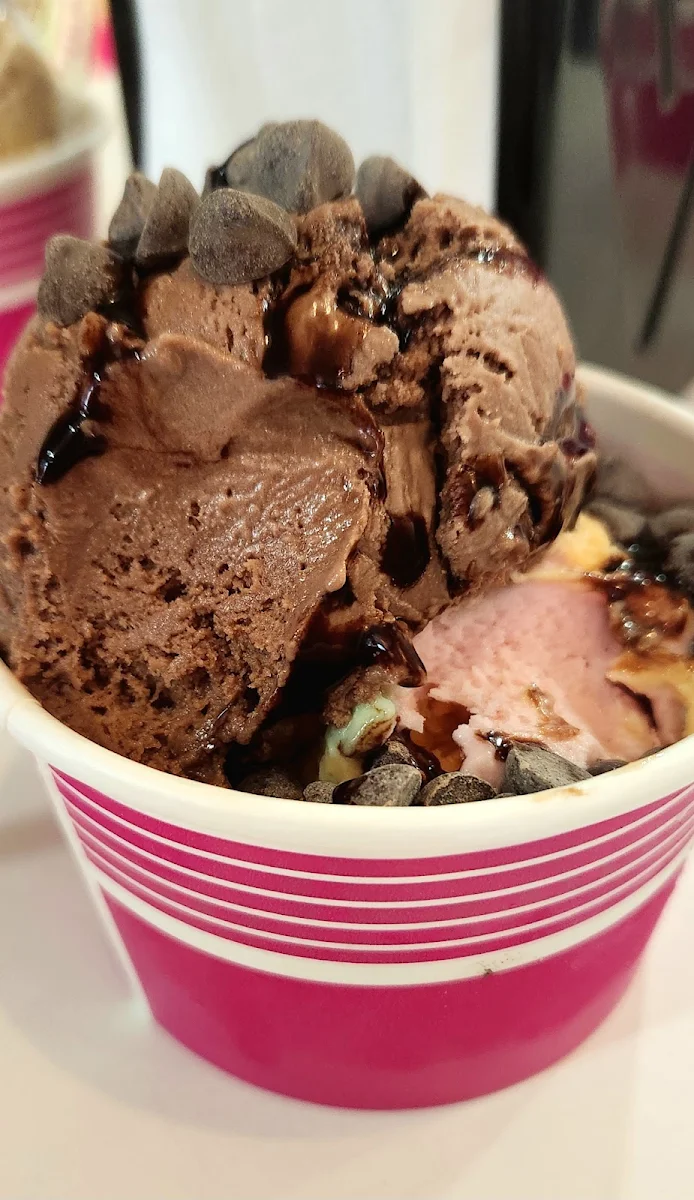 Rainbow Sherbet and Chocolate Cake