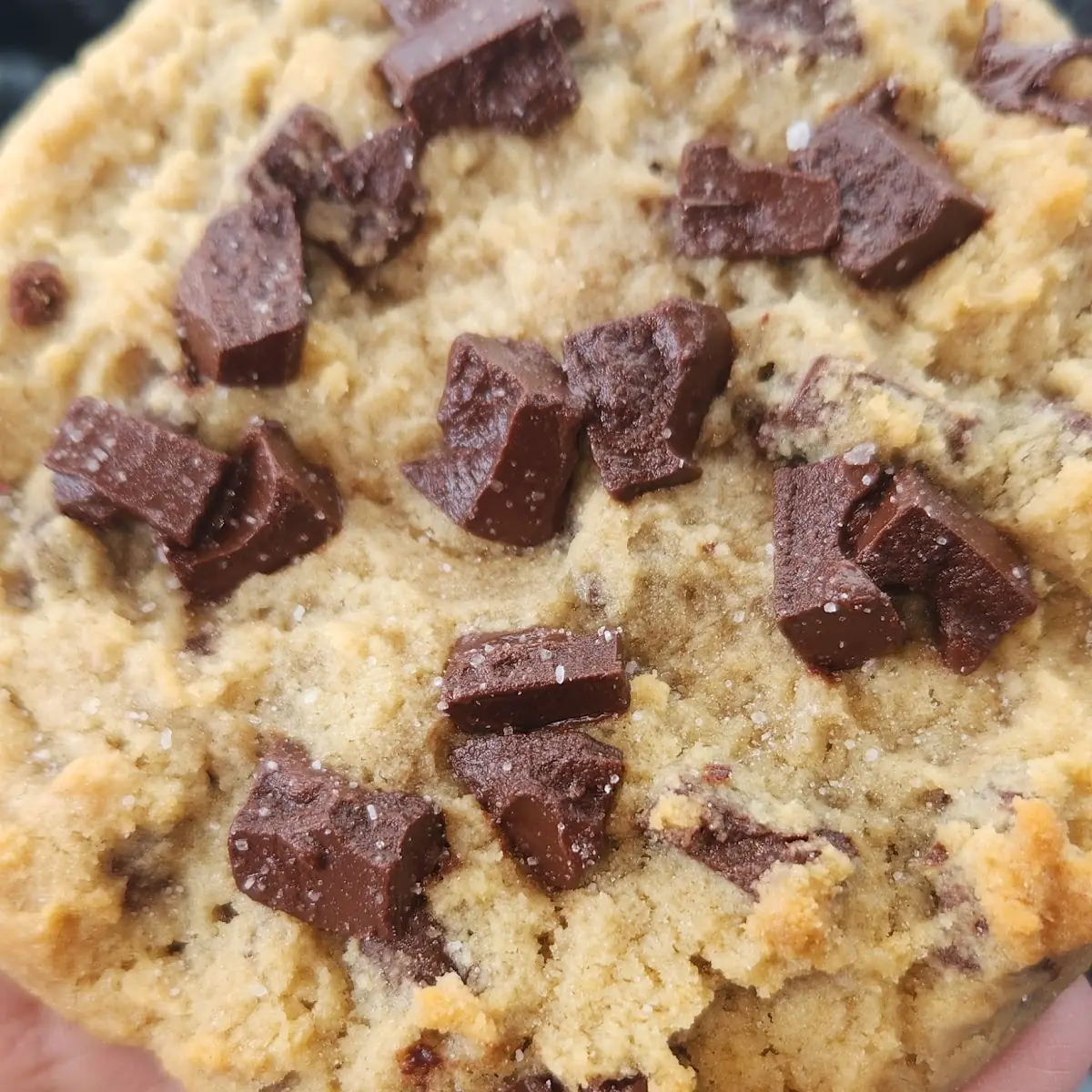 Milk Chocolate Chip