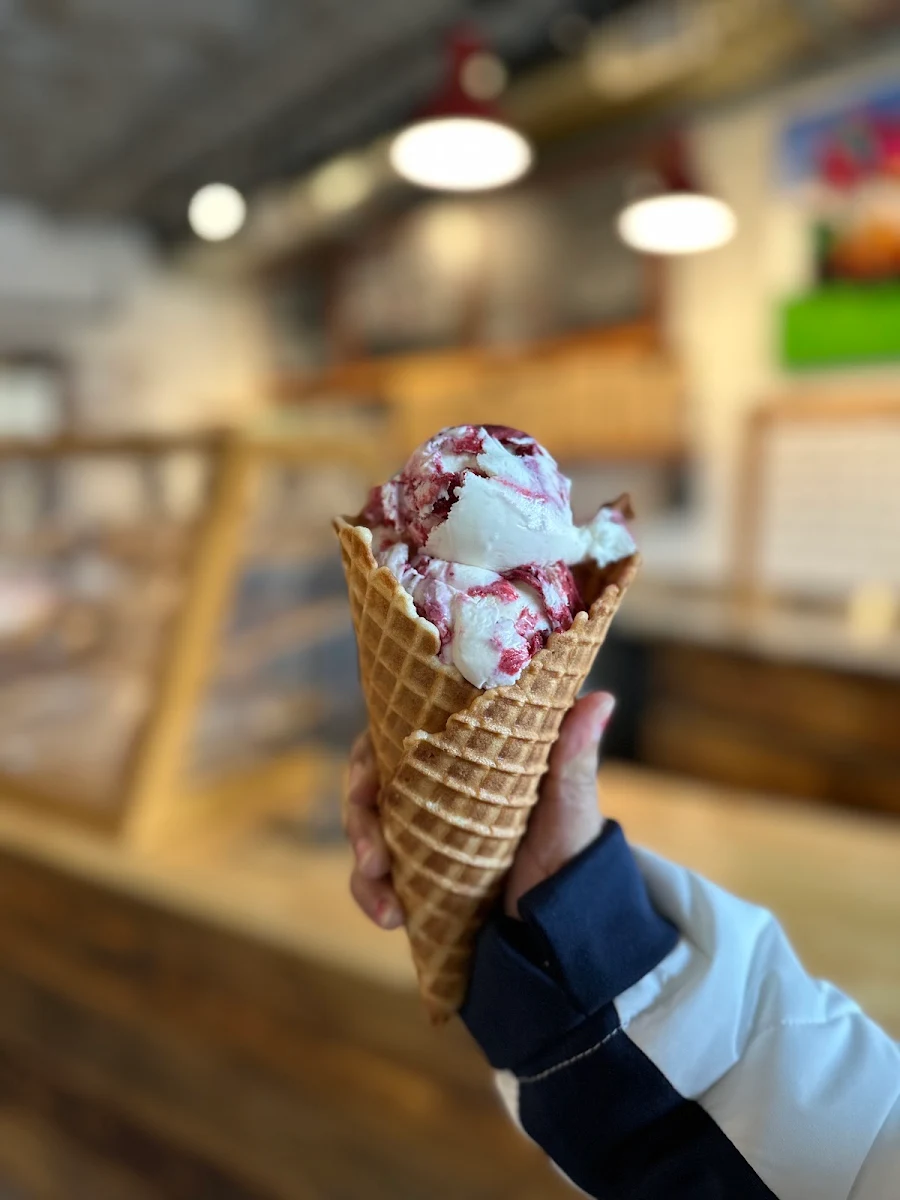 Waffle Cone