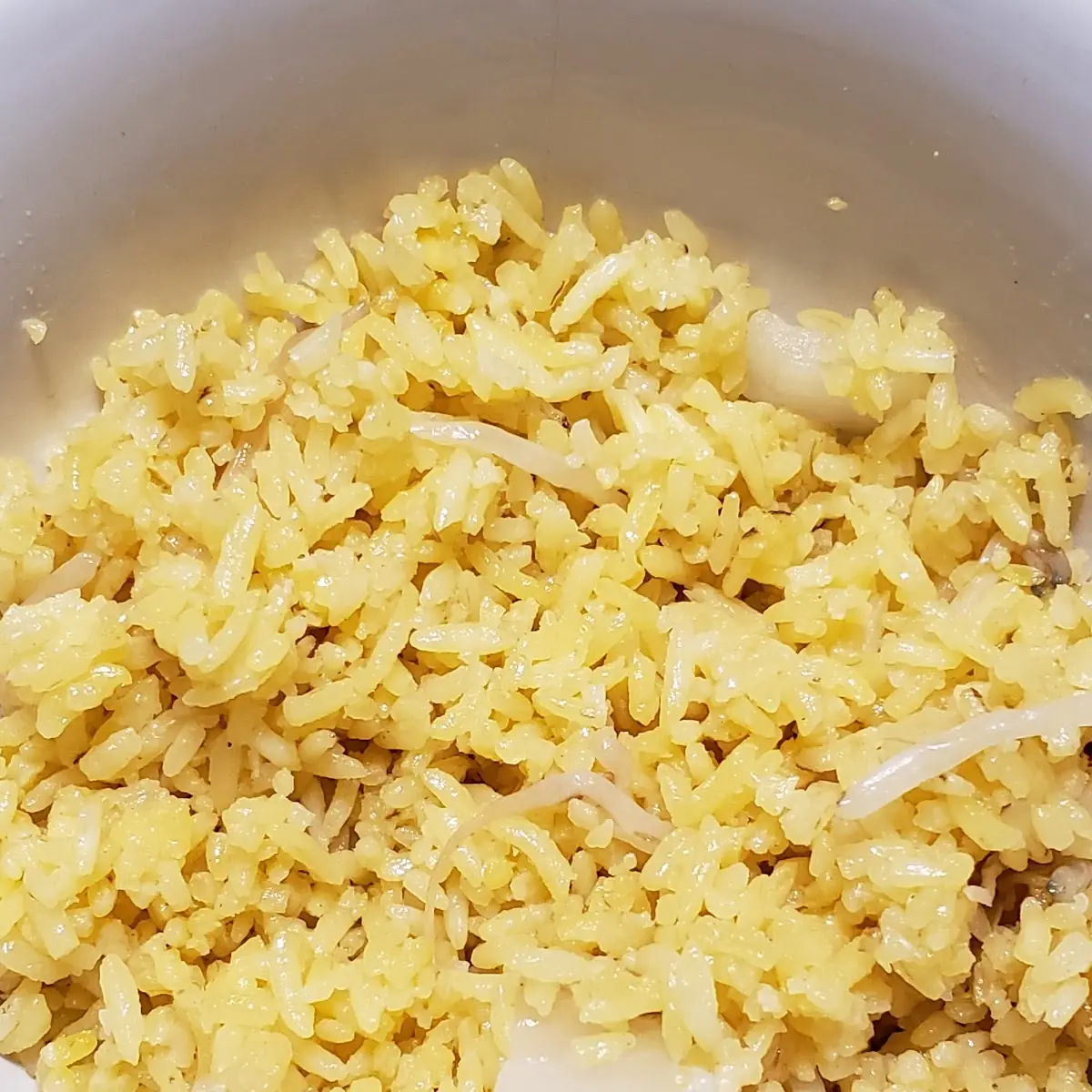 Plain Fried Rice