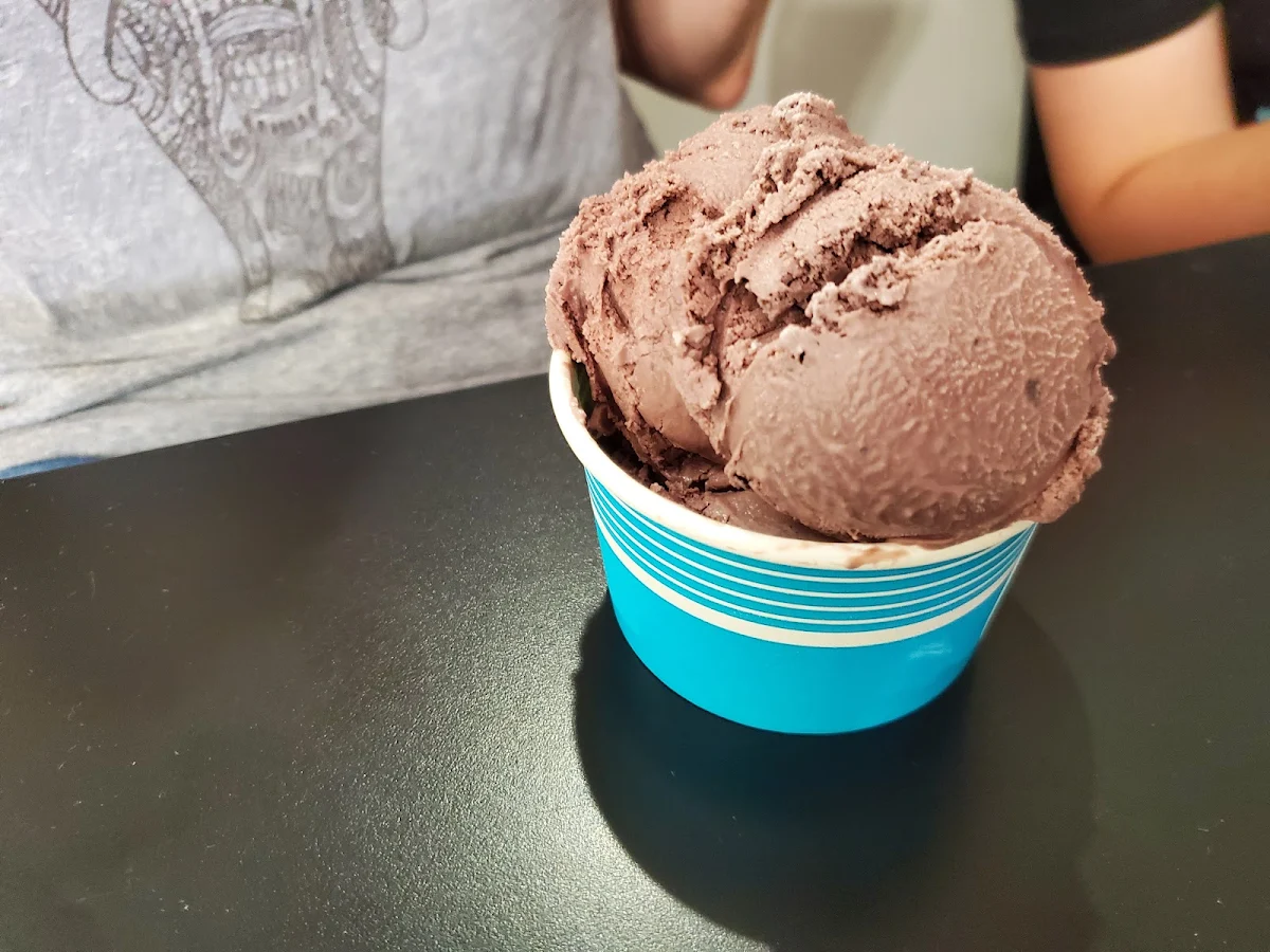 Raspberry Chocolate Ice Cream