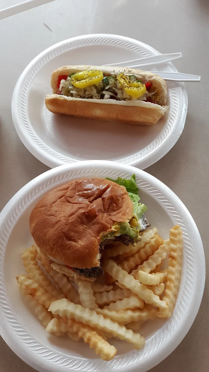 Dressed Hamburger Chicago Dog Were Great