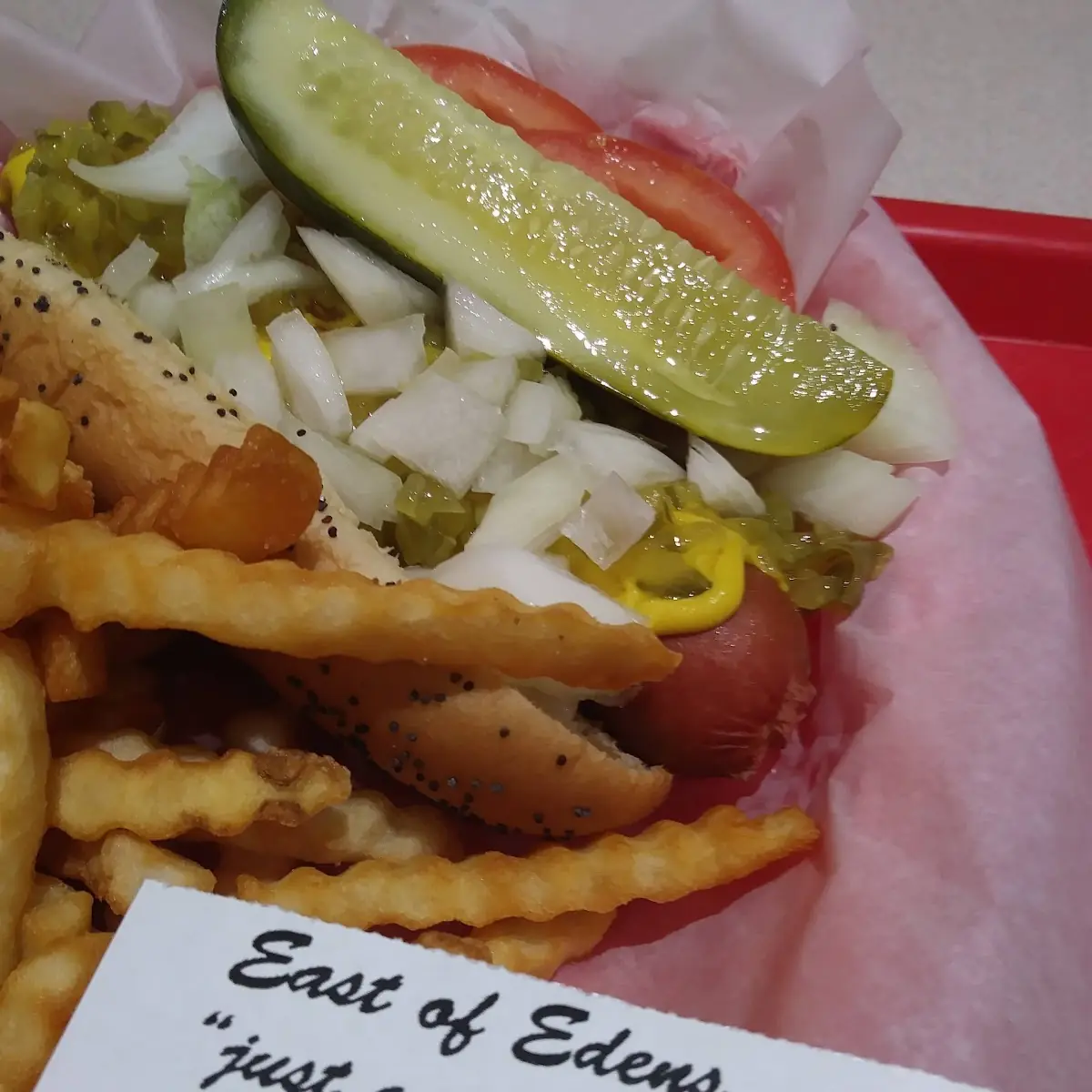 Chicago Style Hot Dog