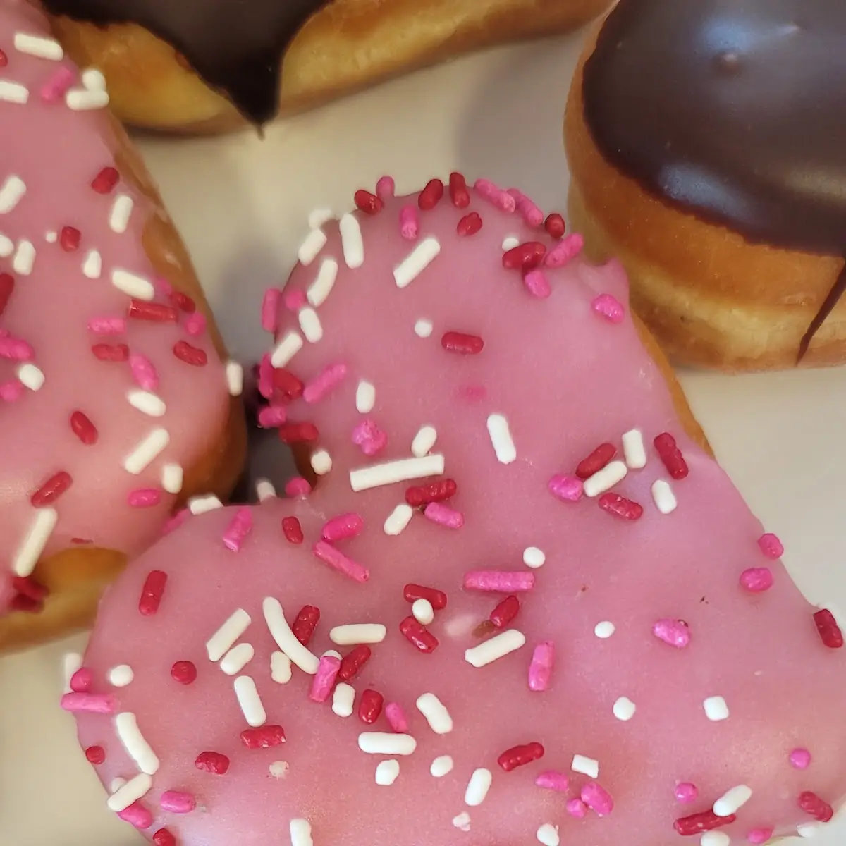 Frosted Donut with Sprinkles & Boston Cream