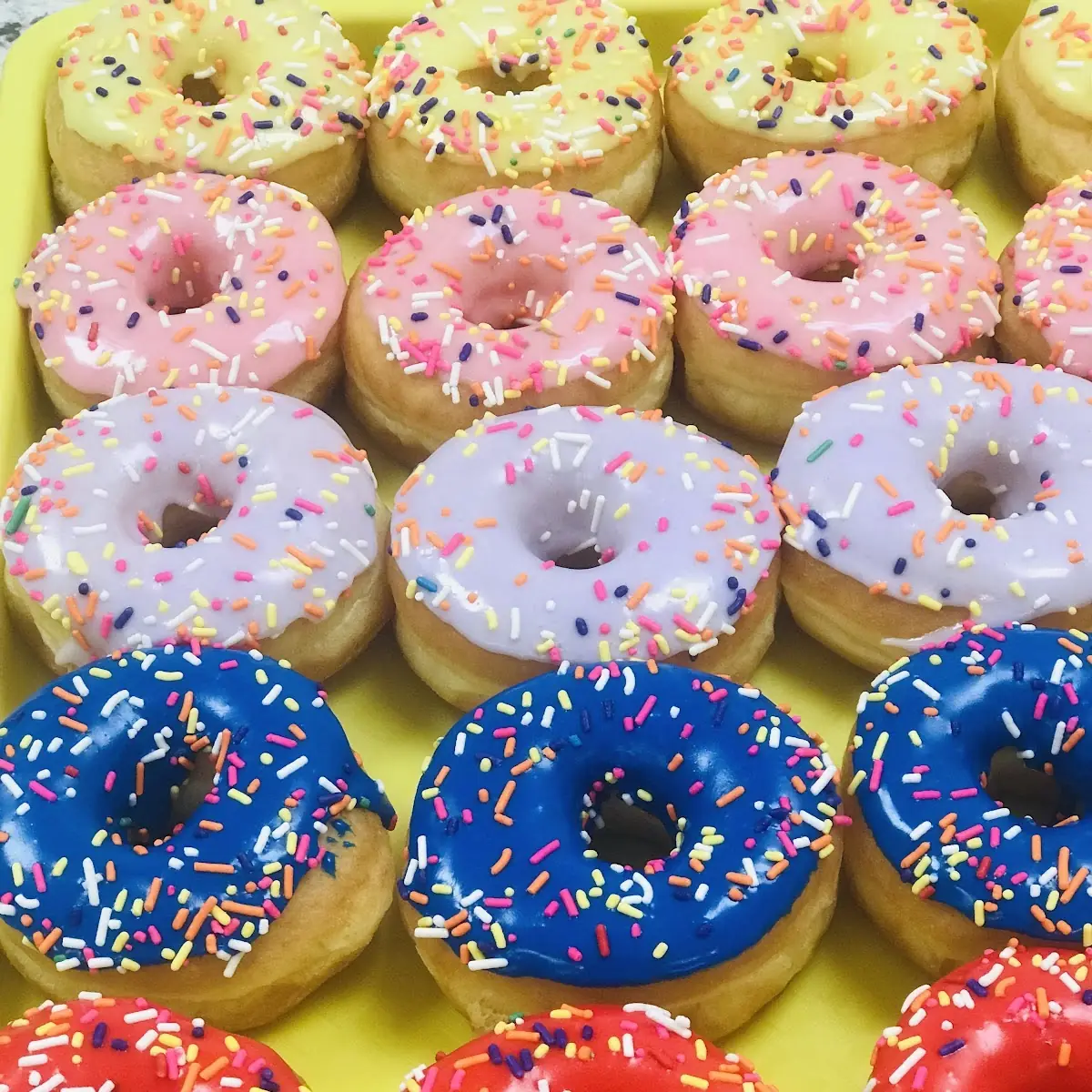 Filled Donut (1/2 Dozen)