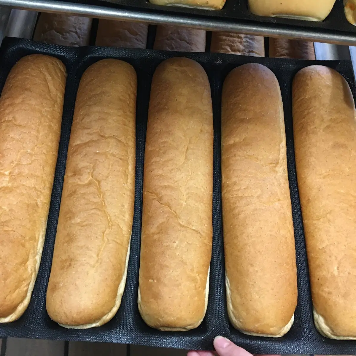 Hot Dog Bun