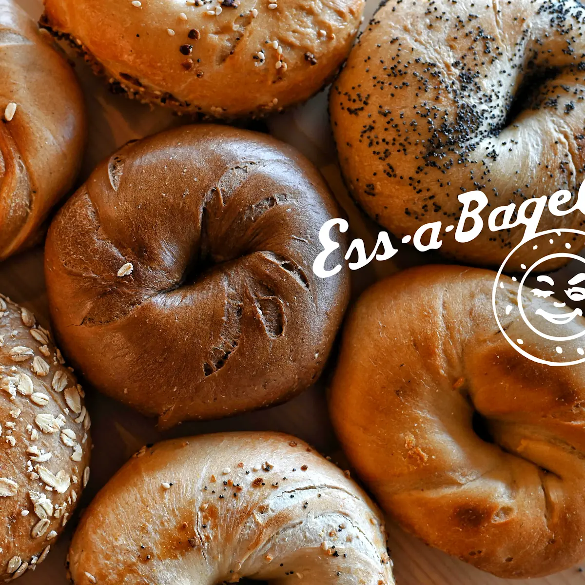 1 2 Dozen Bagels