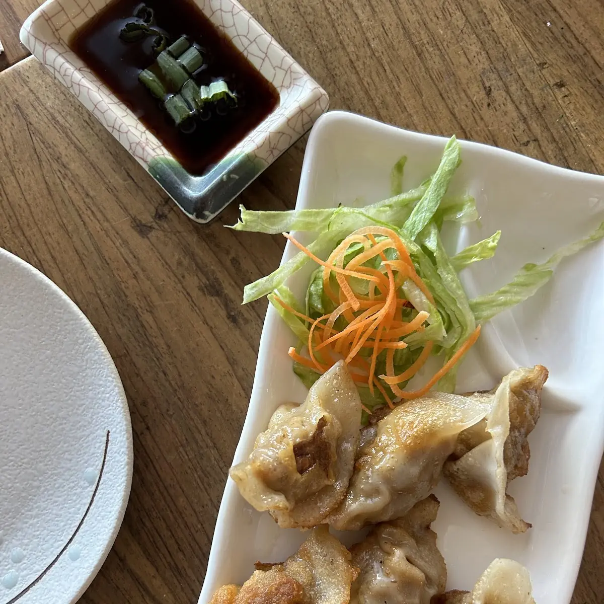 Tuna Dumpling