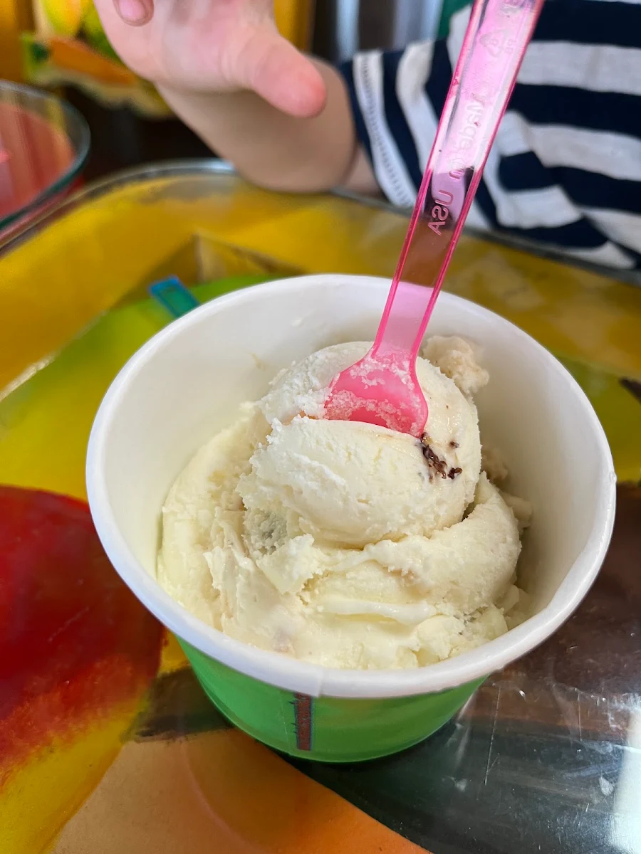 Rum Raisin