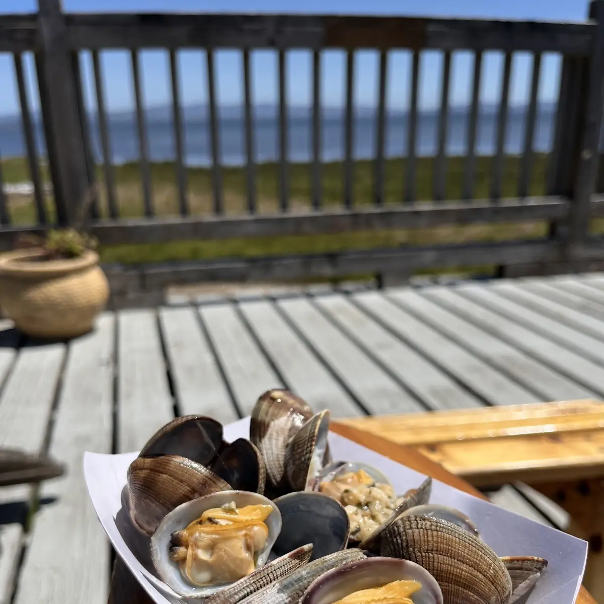 Clams in Garlic Butter