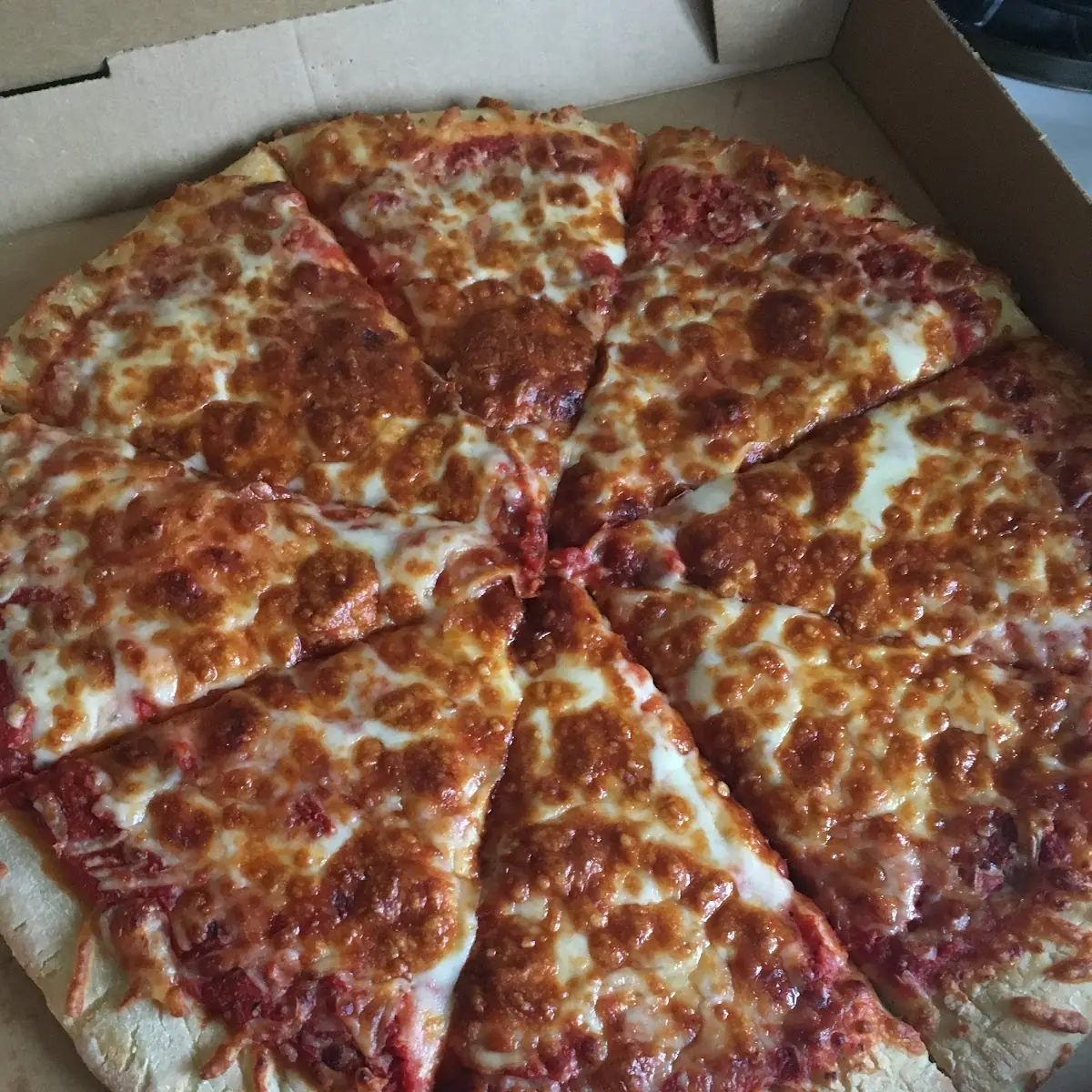 Burnt Dry Cheese Pizza
