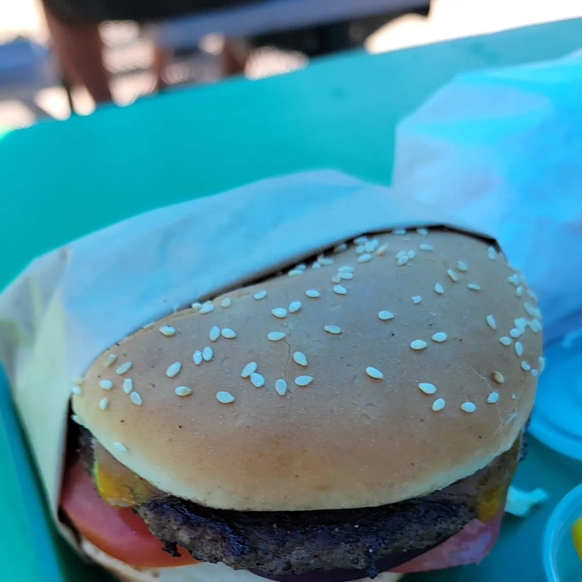 Bison Burger