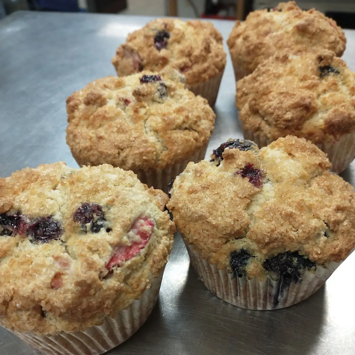 Blueberry Muffin