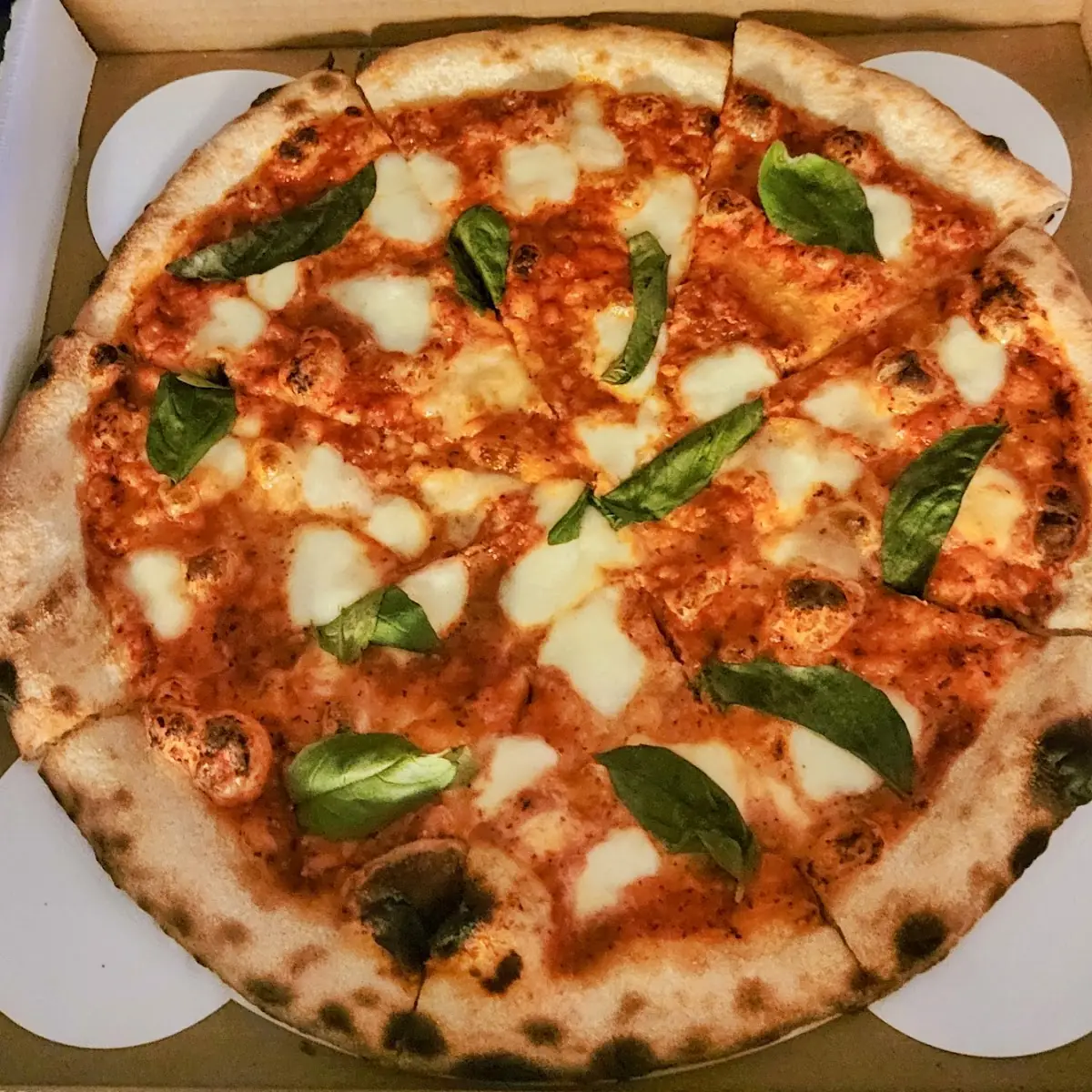 Pizza Margherita
