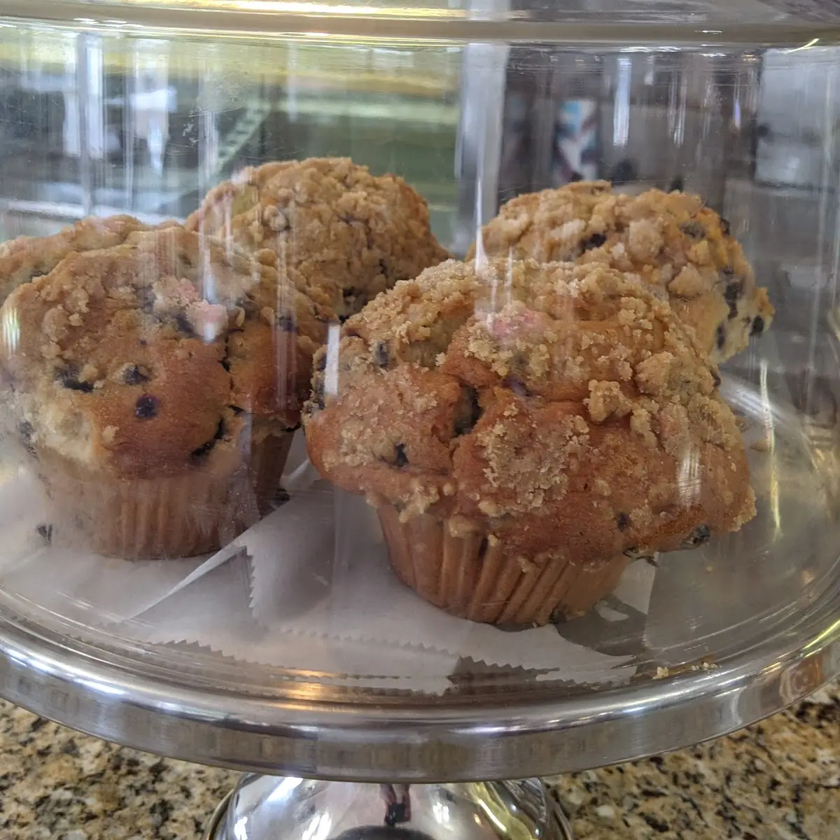 Blueberry Muffin
