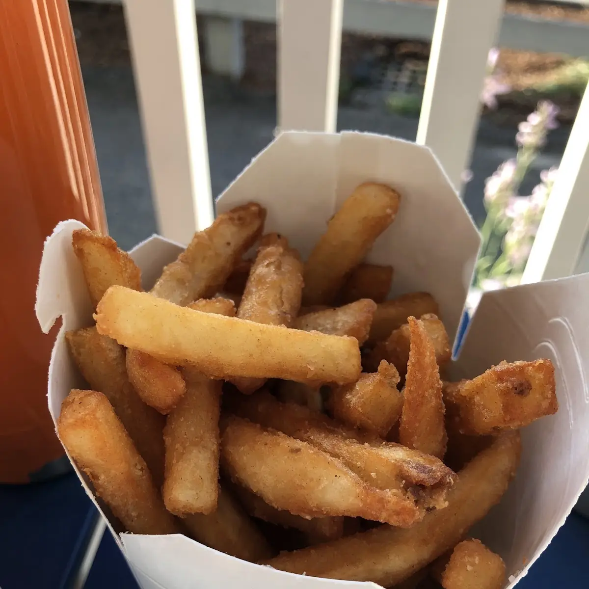 Fries 4 65 Cheese Fries