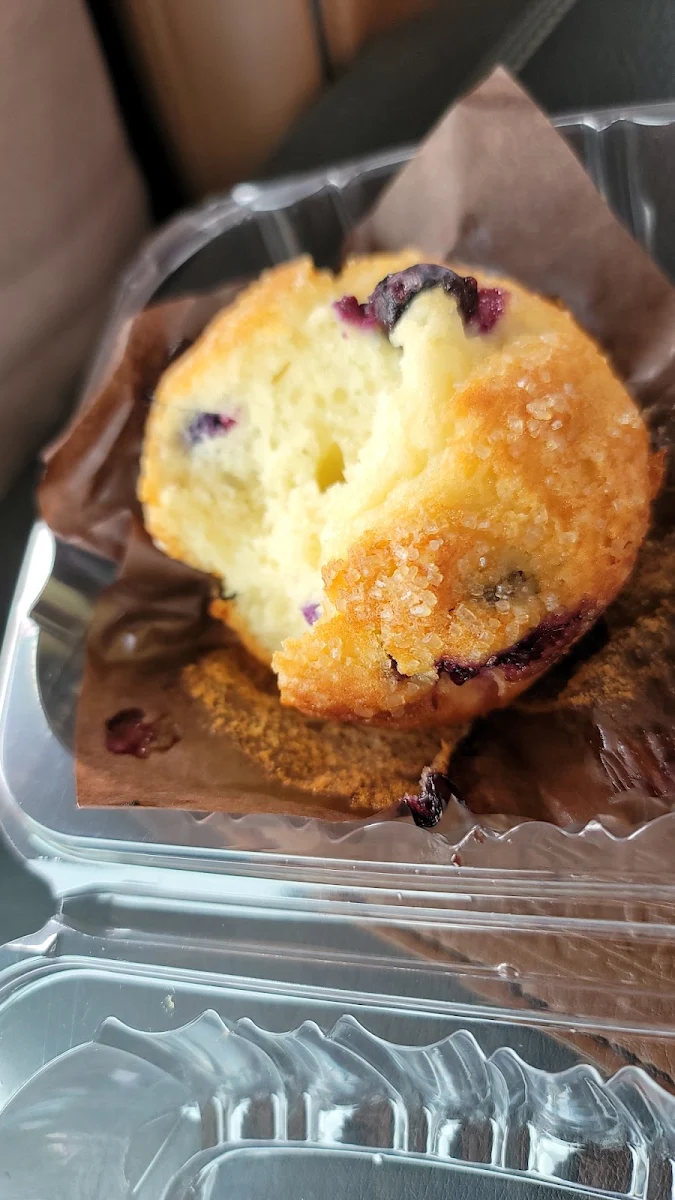 Blueberry Muffin