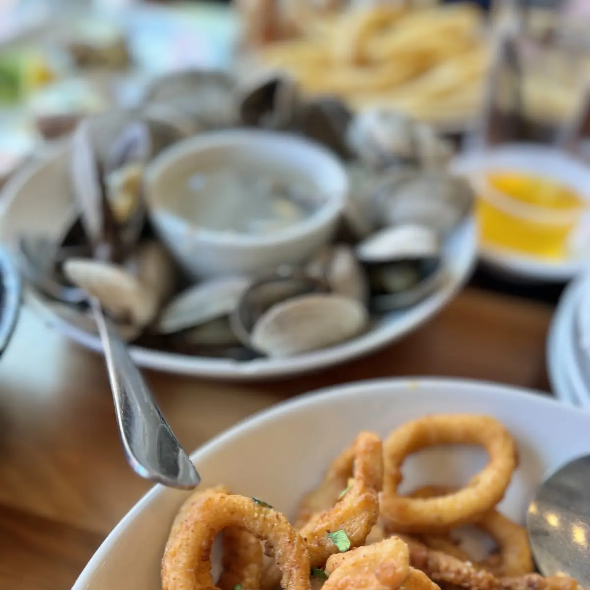 Fried Calamari