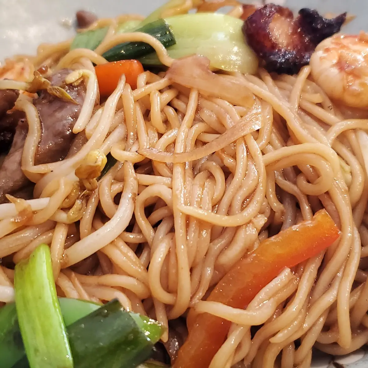 Combination Lo Mein Noodles
