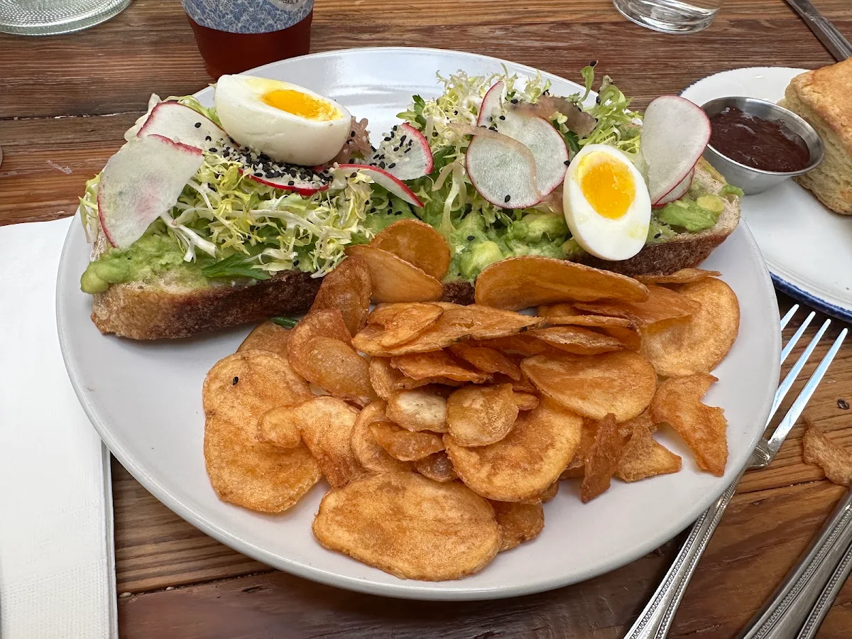 Avocado Toast
