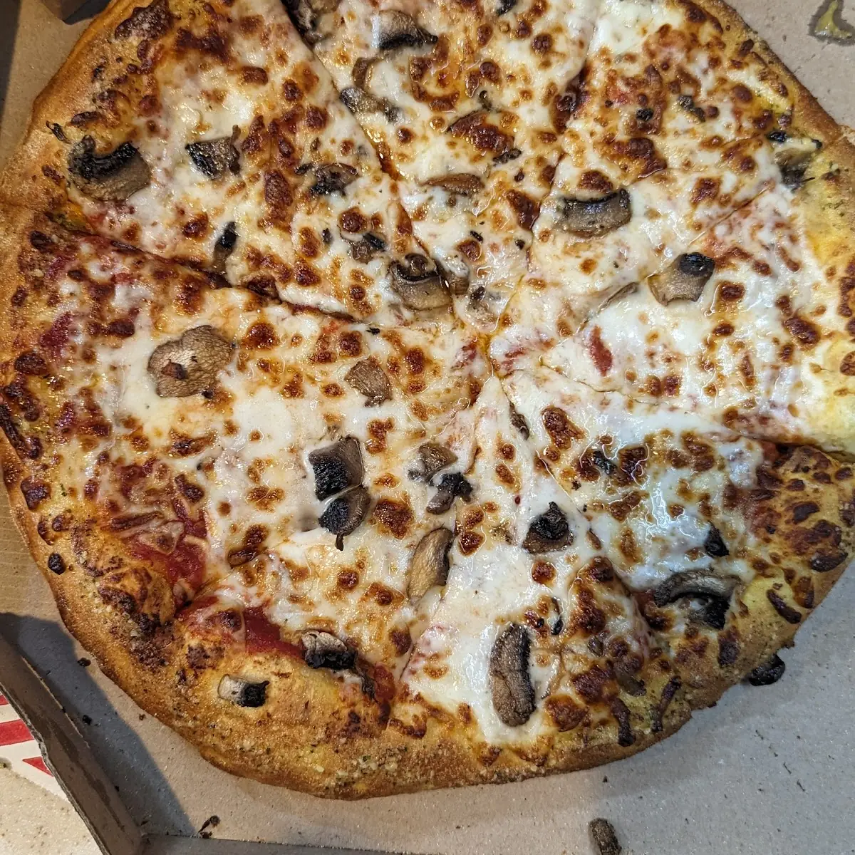 Mushroom Pizza