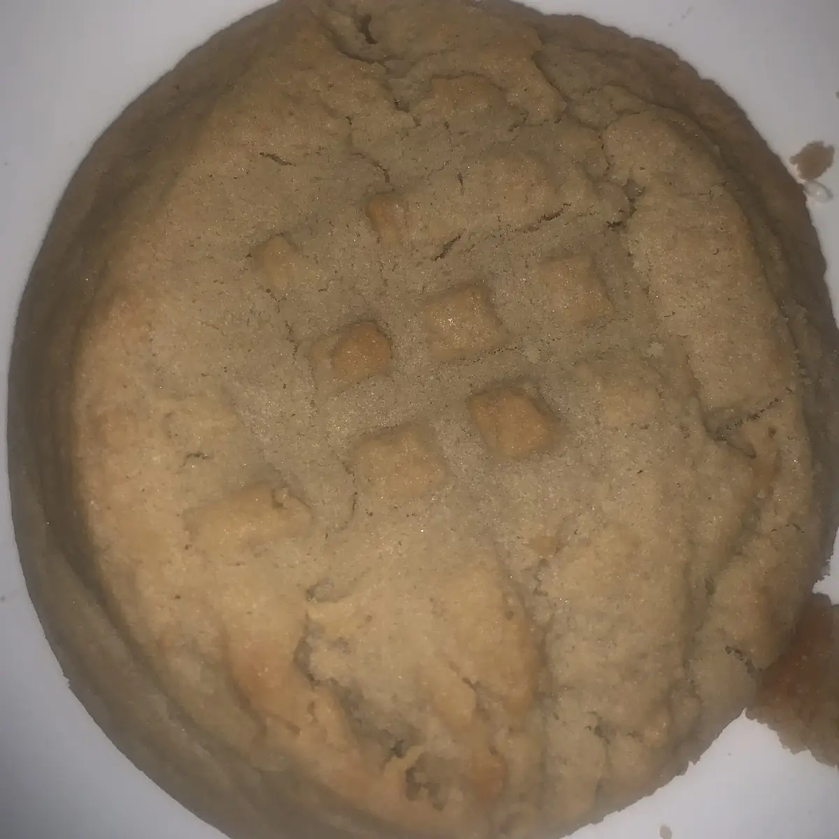 Peanut Butter Cookie
