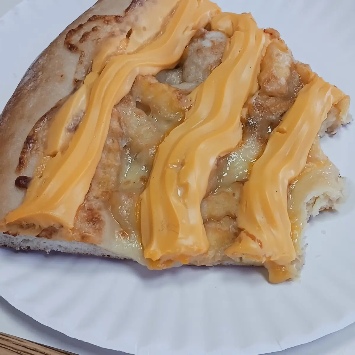 French Fries with Cheese Pizza Slice