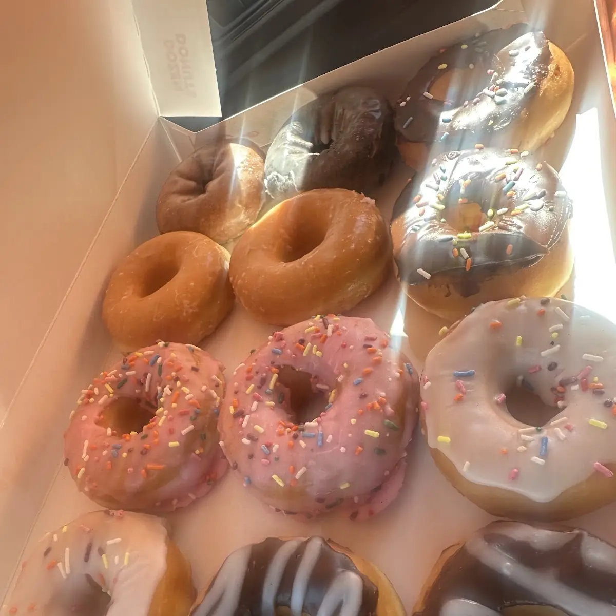 Doughnut