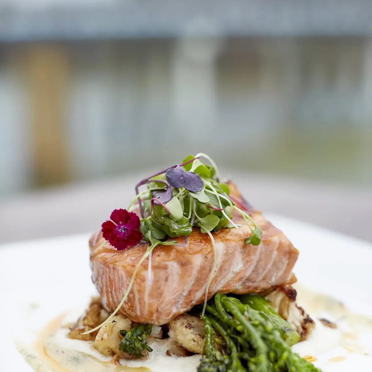 Seared Salmon