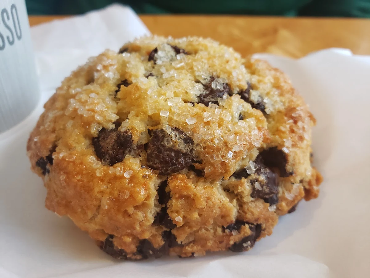 Blueberry Muffin