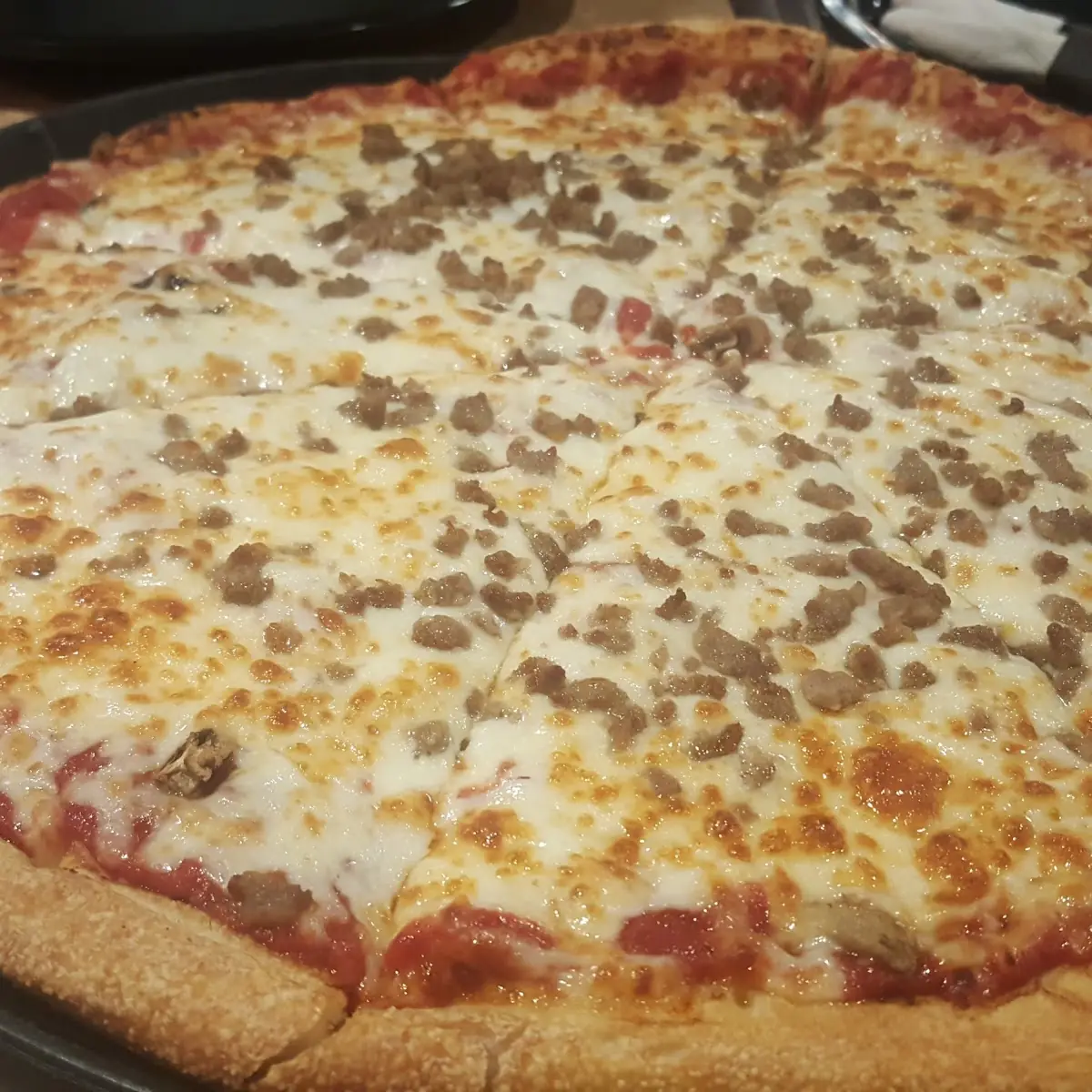 Beef Extra Cheese Pizza