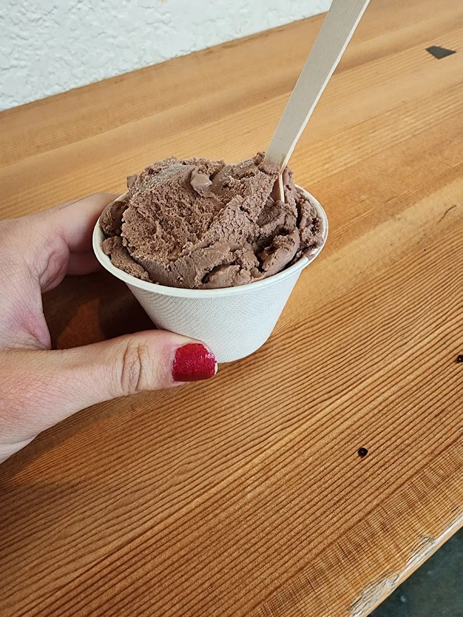 Vegan Chocolate Ice Cream