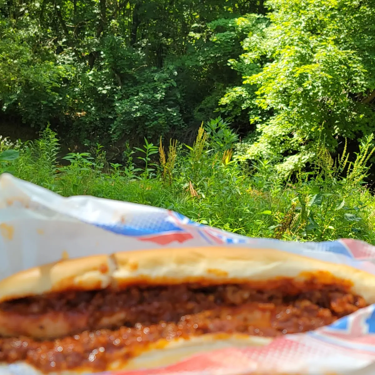 Coney Dog