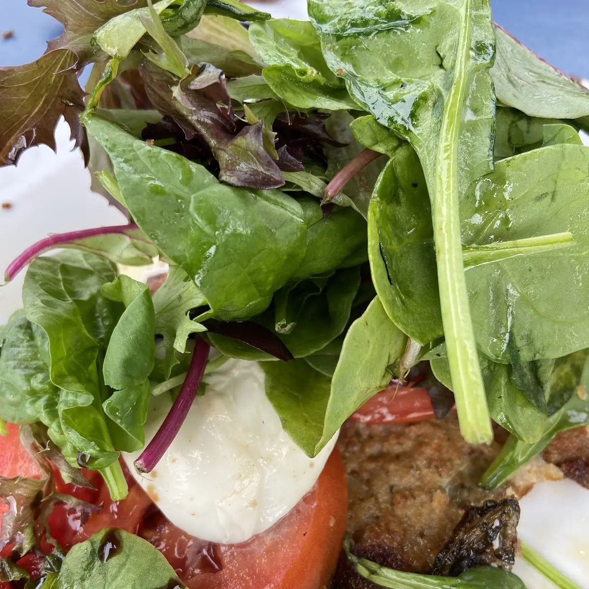 Salad