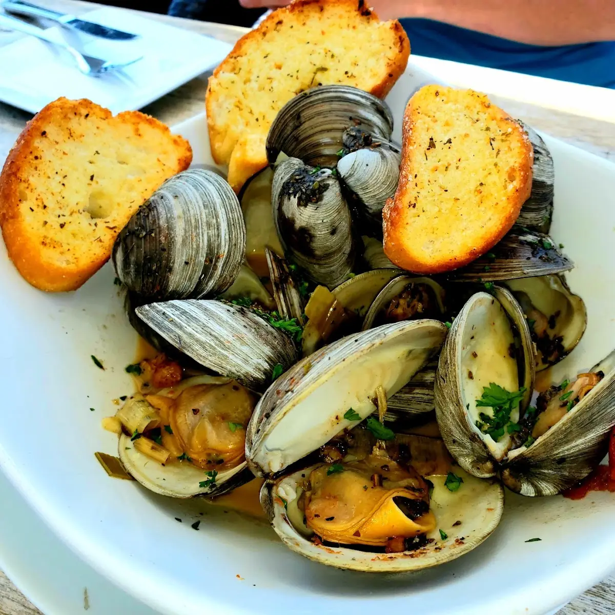 Steamed Clams