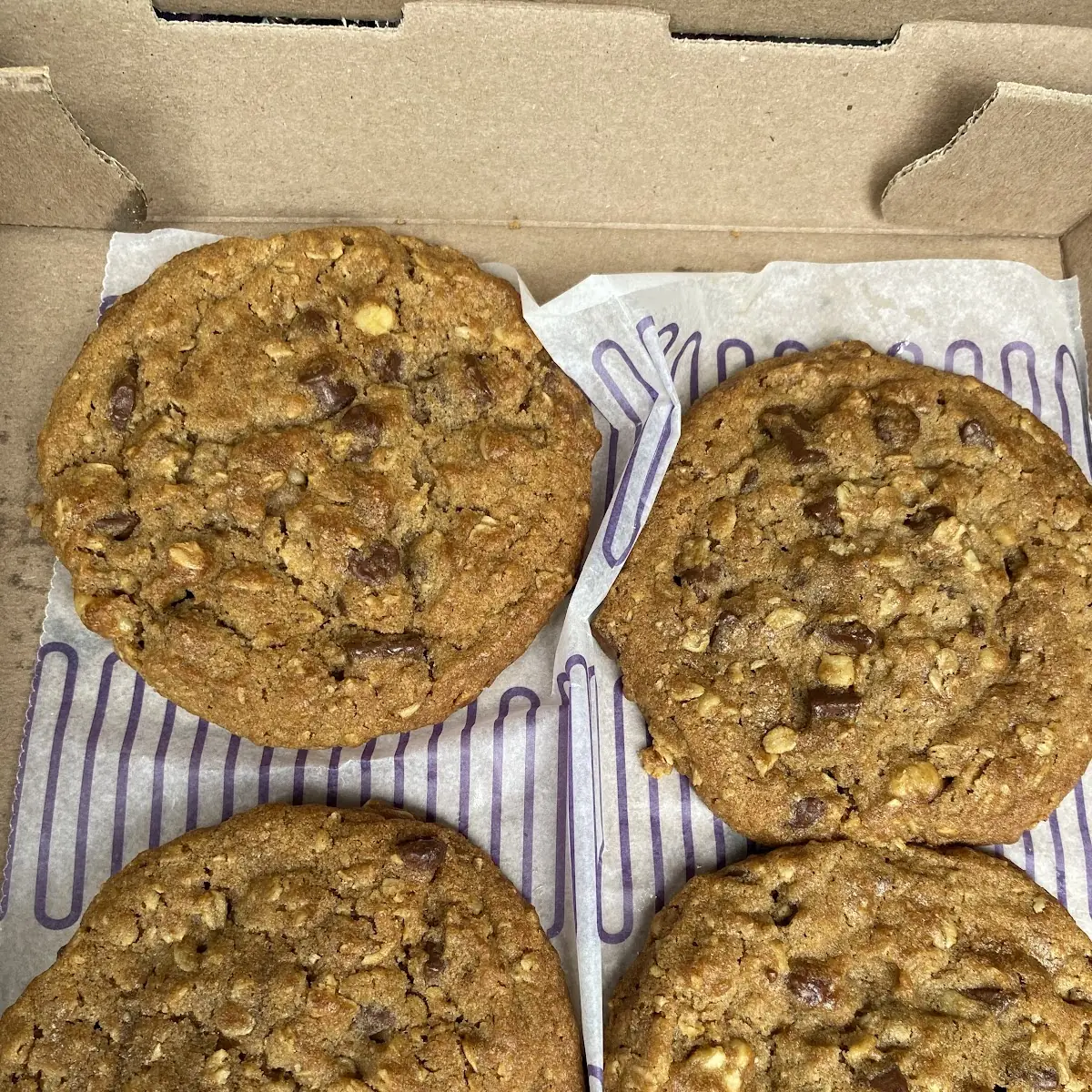 Oatmeal Walnut Chocolate Chip Cookie