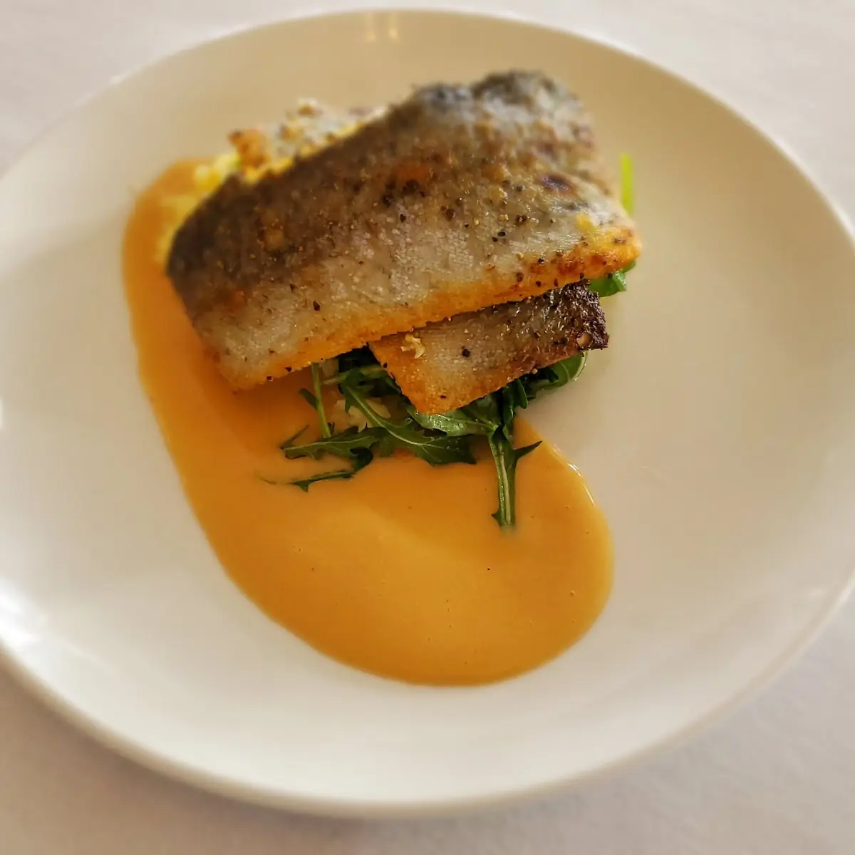 Seared Rainbow Trout Lemon Saffron Risotto Wilted Arugula Blood Orange Beurre Blanc