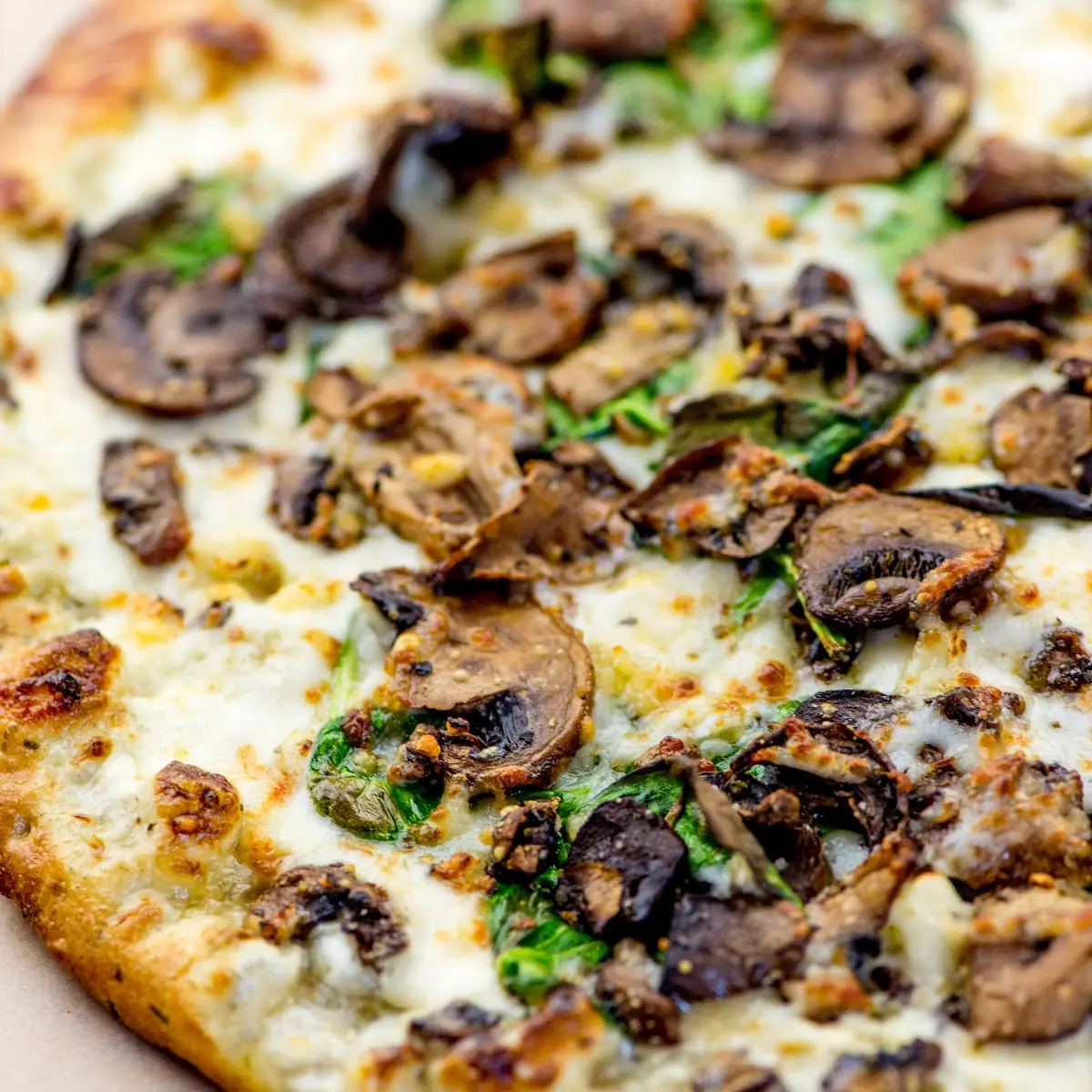 Truffled Mushroom Pizza 11