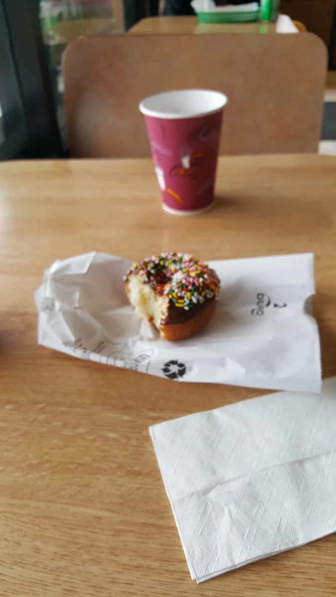 Chocolate Sprinkles Dounut