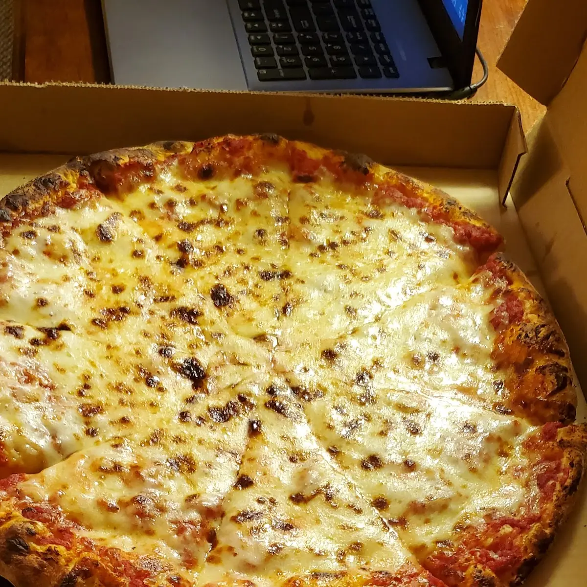Cheese Pizza Broccoli Calzone