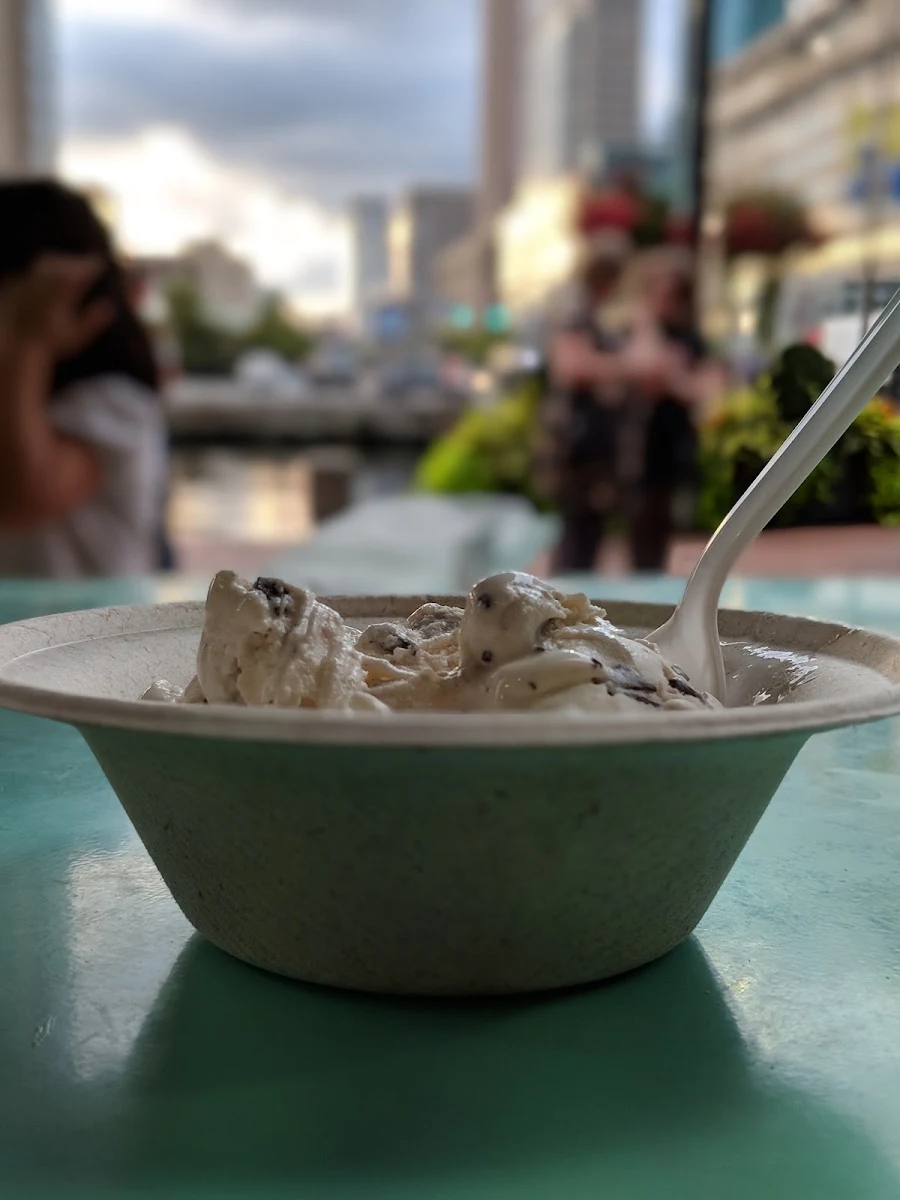 Chocolate Chip Cookie Dough