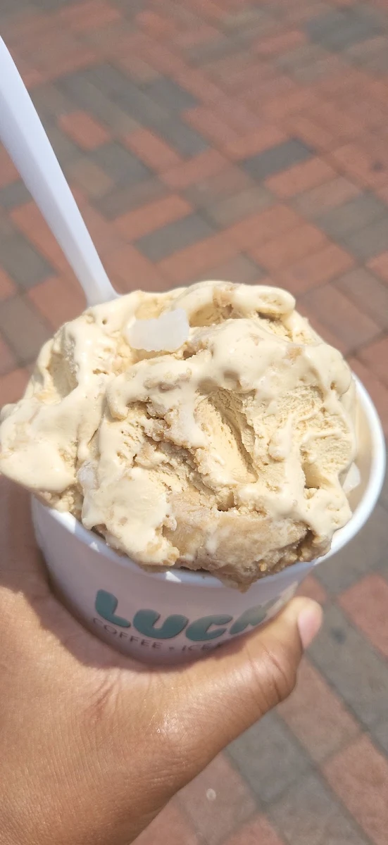 Honey Graham Icecream
